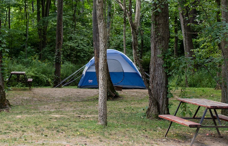 Group Tent Site- 12 People-1